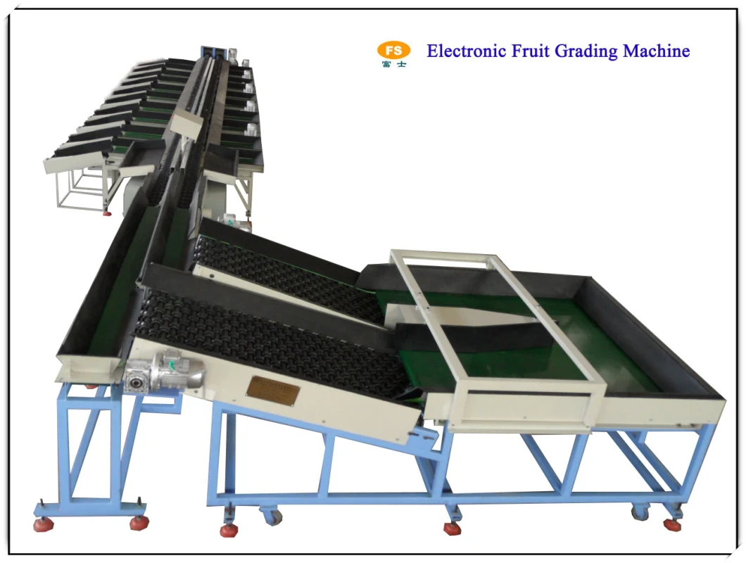 Fruits Grader Machine Sorting Machine Apple Grading Machine for Sale