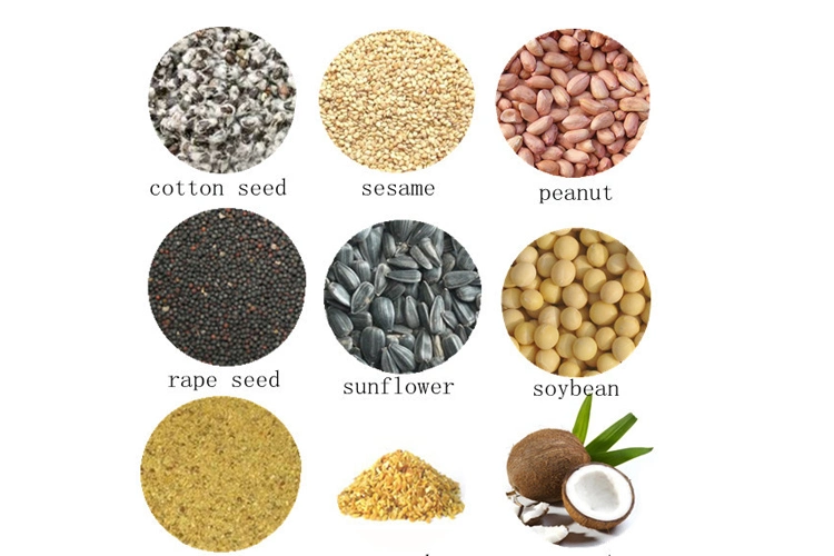 Grape Seed / Flax Seed /Sesame Seeds Oil Press Machine China