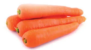 Carrot Length Grading Equipment Cheap Price