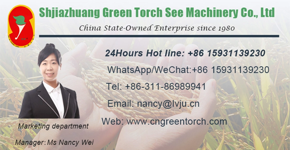Wheat/Maize/Paddy Complete Seed Cleaning Line on Sale
