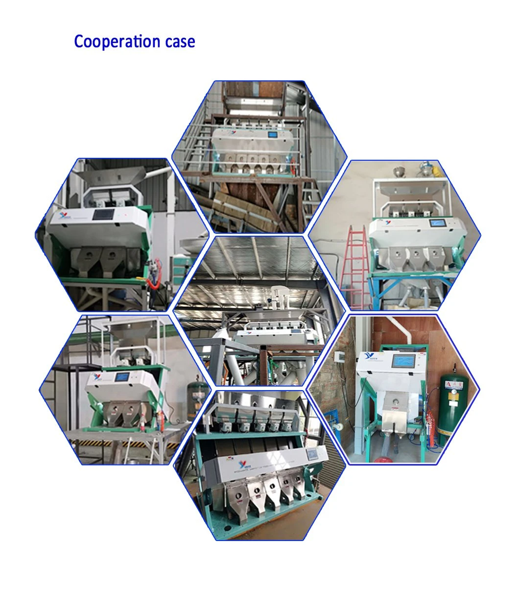 Rice Grain Cereal Color Sorter Machine Cereal Processing Machine