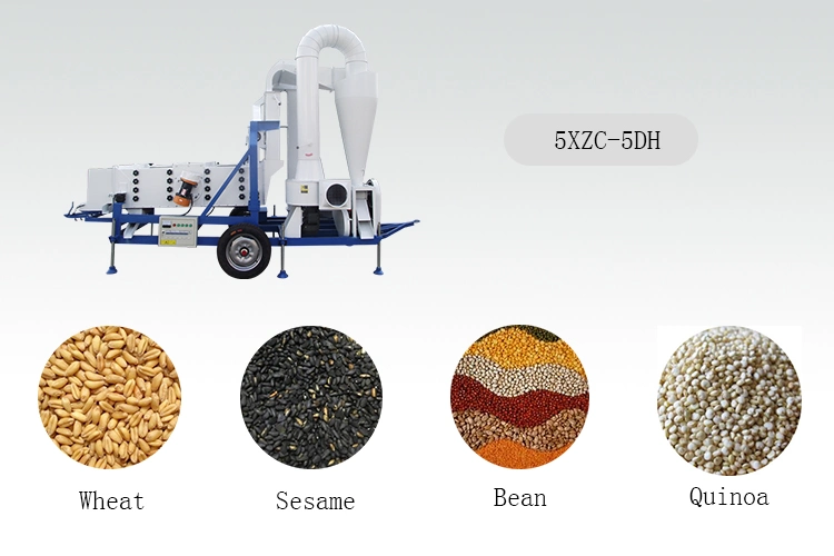 Cereal Grain Seed Bean Peas Cleaner (5XZC-5DH)