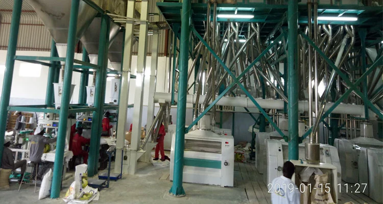 Maize Flour Mill for Cleaning Machine, Peeling Machine, Flour Milling Machine and Packing Machine