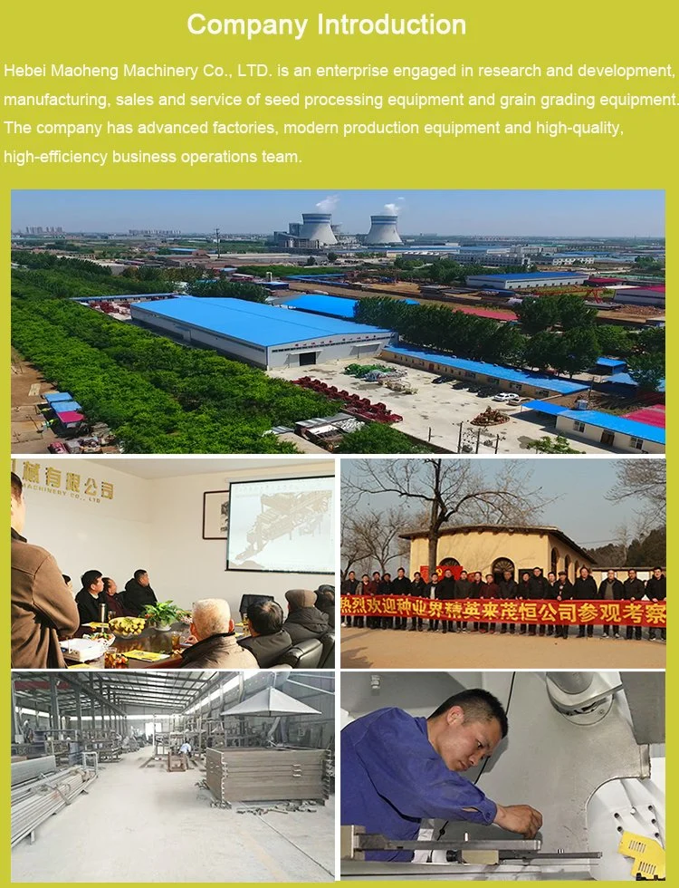 China Suppliers Machinery Grain Cleaner for Wheat/Corn/Hemp Seeds