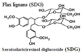 40% Flax Lignans /Secoisolariciresinol Diglucoside (SDG) Flax Seed Extract