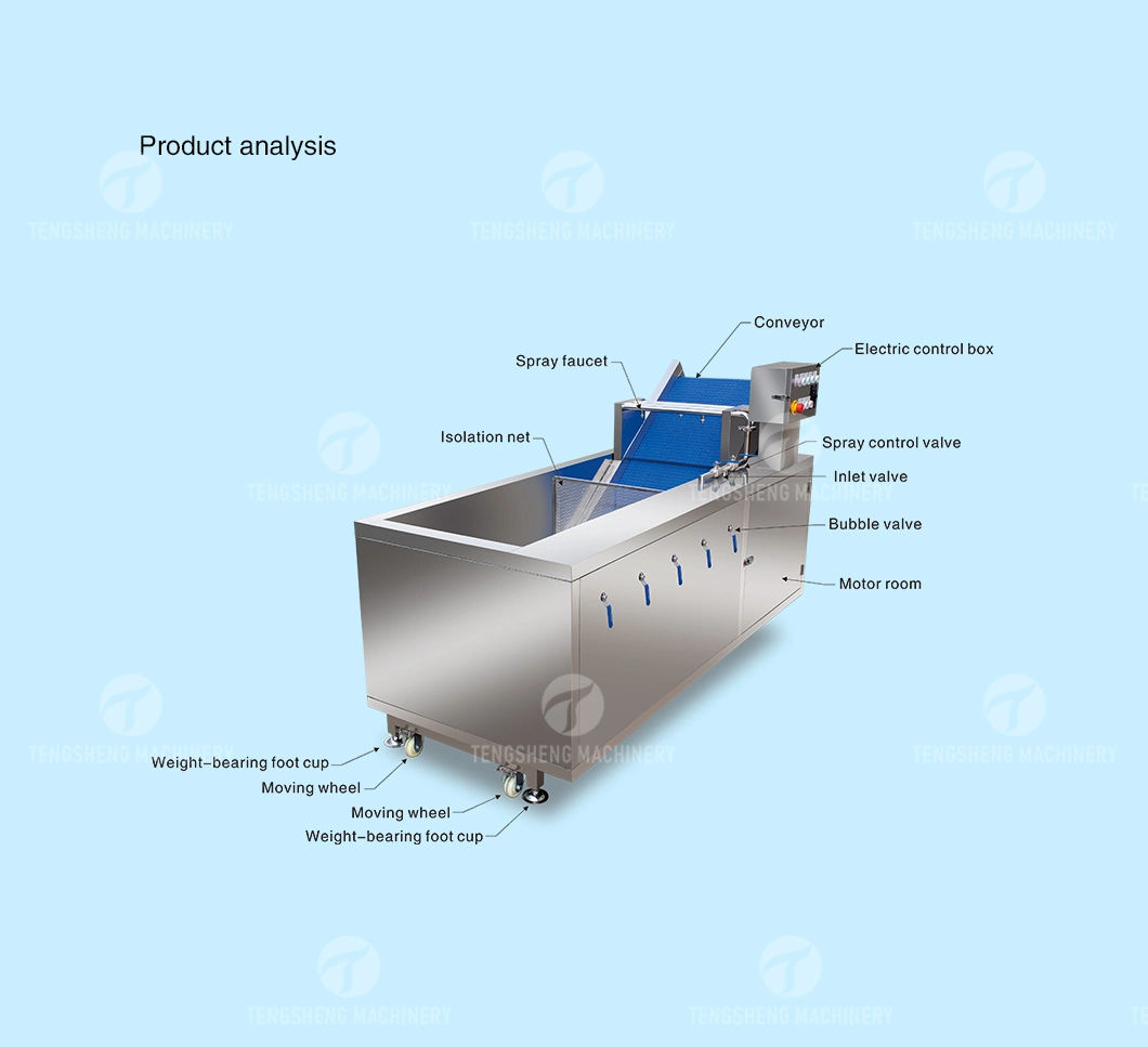 Food Processing Plant Dragon Fruit Cleaning Machine Orange Cleaning Machine (TS-X200)