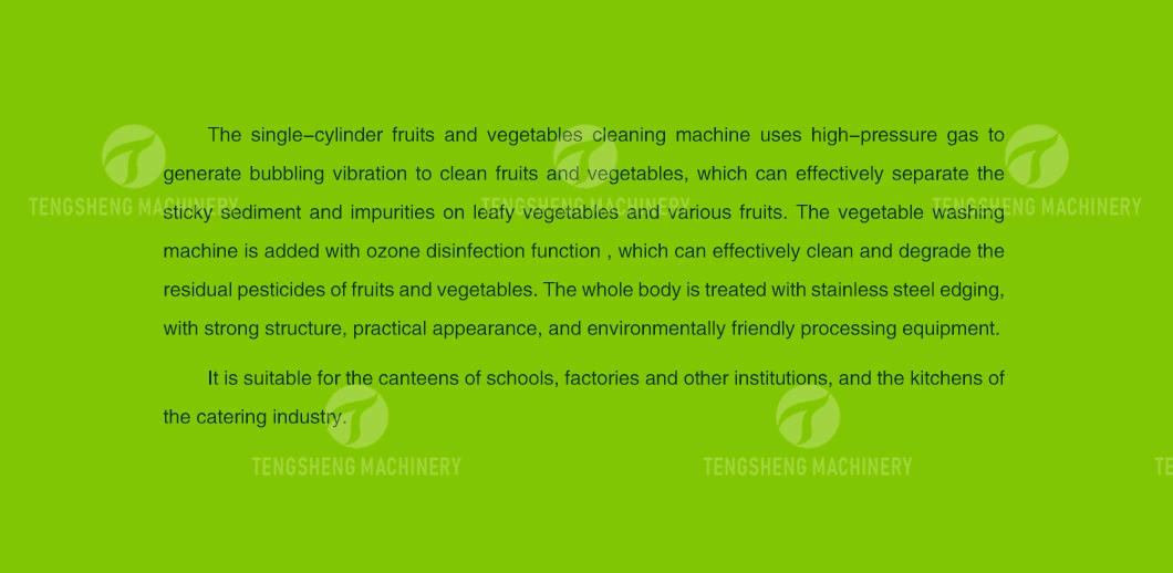 Electric Cleaning Machine Bubble Vegetable Cleaning Machine Fruit and Vegetable Cleaner Lemon Cleaning Machine (TS-AZ)