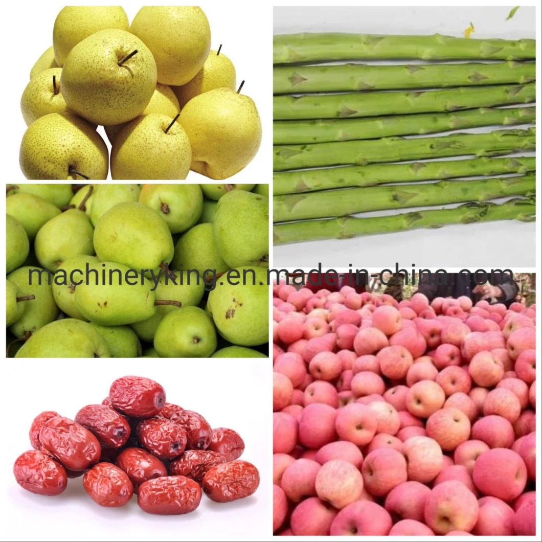 Low Noise Fruit Sorting Sifting Grading Machine