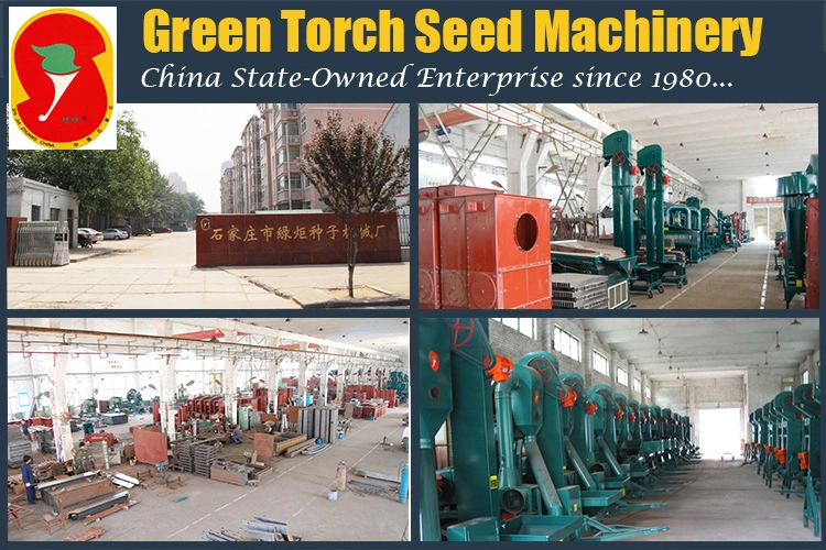 Wheat/Maize/Paddy Complete Seed Cleaning Line on Sale
