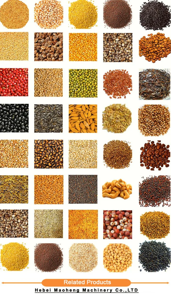 China Suppliers Machinery Grain Cleaner for Wheat/Corn/Hemp Seeds