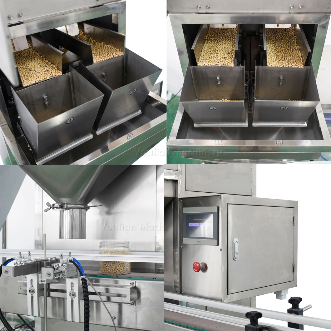 DC-B2&Zx-D Manufacture Automatic Dry Fruit Granule Food Weighing Filling Packing Machine with Granule Bucket Elevator and Conveyor