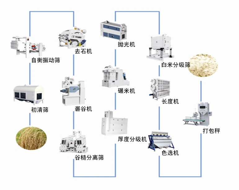 Rice Whitener, Separator Machine Vibration Grain Screens