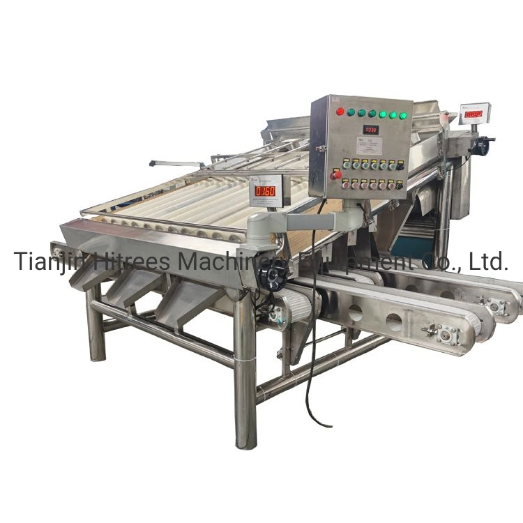 Lobster Machine/Shrimp Grading Machine/Shrimp Sorting Machine