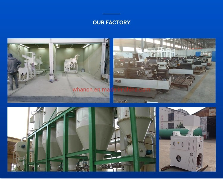 Anon Manufacturer Automatic Rice Mill Paddy Processing Machine