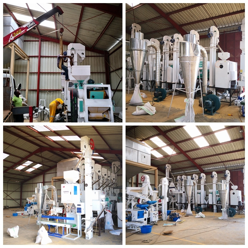 Auto Complete Set Rice Mill Farm Use Agro Machine Paddy Processing Machine