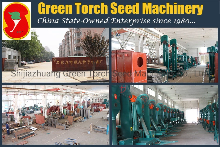 Combined 5t/H Maize Threshing and Seed Cleaning Machine