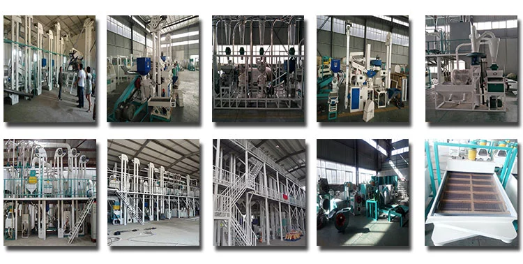 Automatic Paddy Mill Processing Plant Rice Machine with Big Power