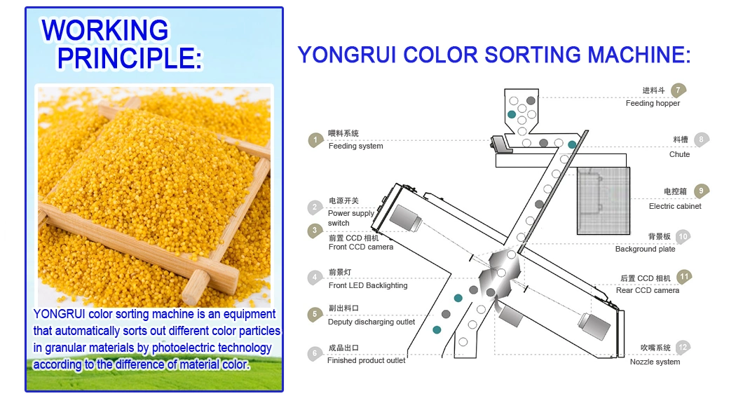 Factory Price Millet Color Sorter Millet Sorting Processing Machine