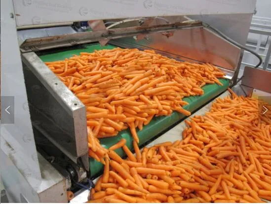Carrot Length Grading Equipment Cheap Price