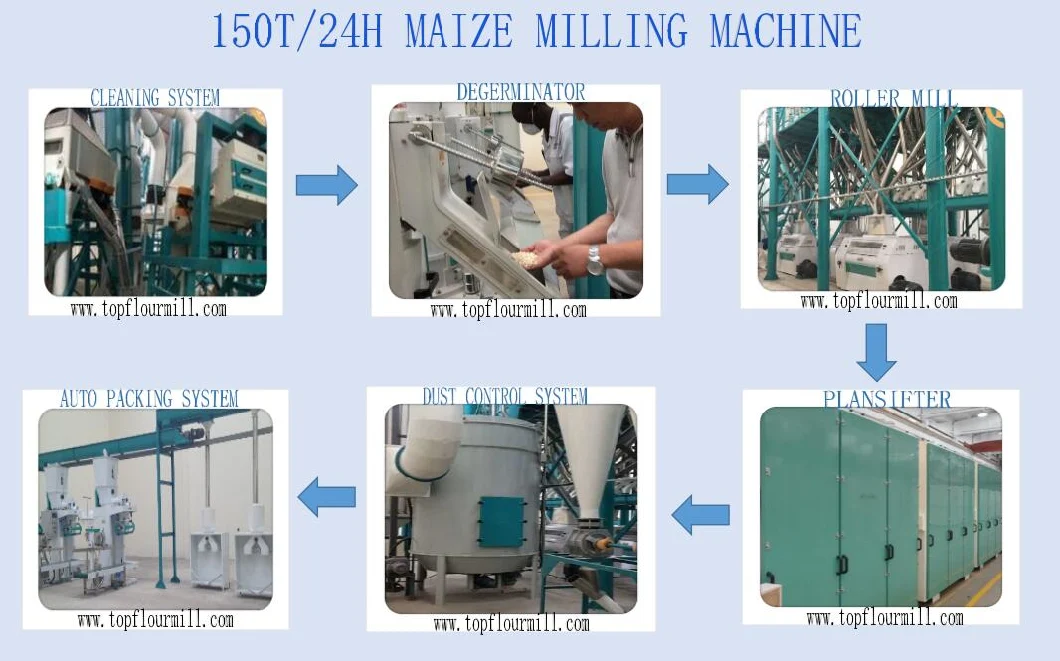 Hot Sale China Maize Cleaning Machine for Flour (150t)
