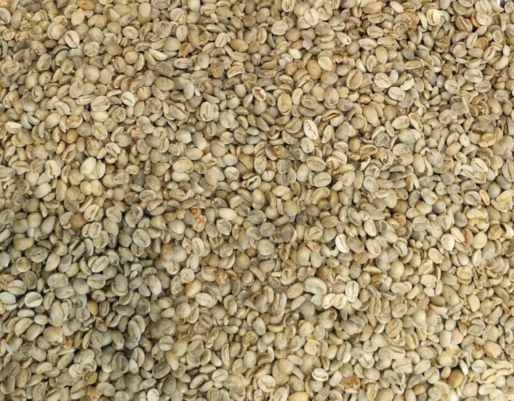 Hons+ Bean Processing Machine Coffee Bean Color Sorter