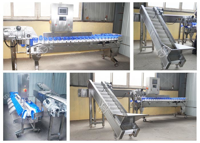 3000kg/H Fruit Grading Machine Fish Weight Sorting Machine Gg-4712