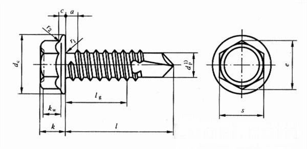 Indented Self Tapping Screw/Hexagon Washer Head Tapping Screw