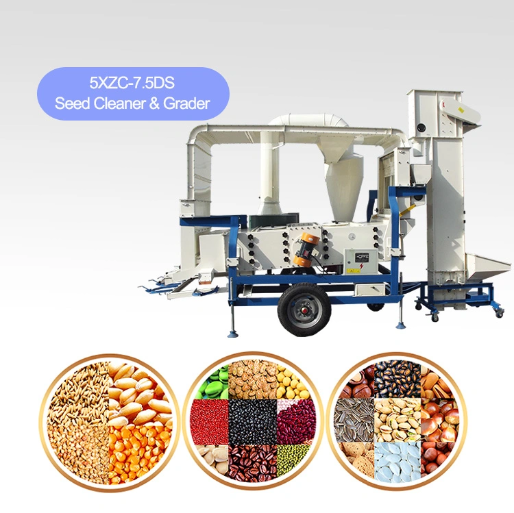Cocoa Bean Seed Air Screen Cleaner with High Capacity