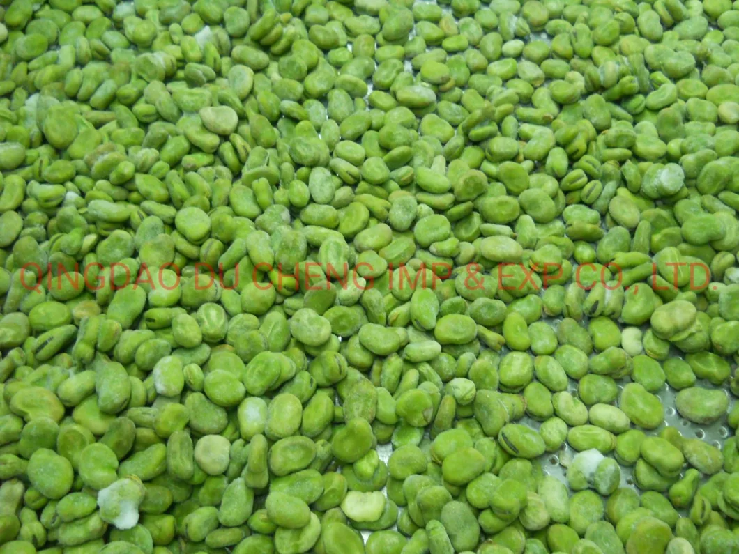 Dry Broad Beans/Faba/Fava Beans