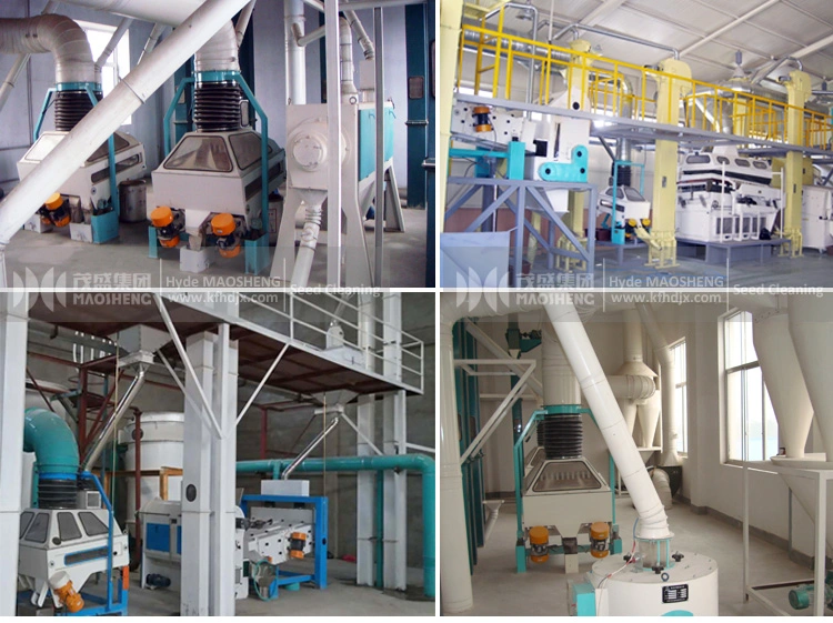 Wheat Flour/Corn/Oil/Seed Processing Plant Tqsf Gravity Destoner