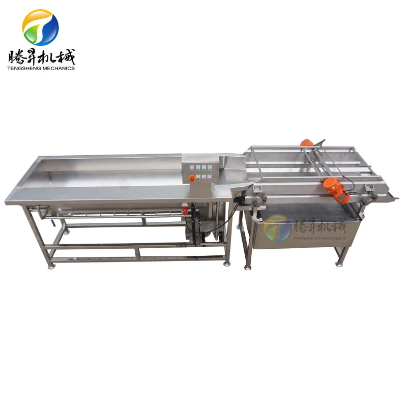 Large-Scale Fruit and Vegetable Cleaning Equipment Swirl Corn Cleaner Stainless Steel Cleaning Machine (TS-X680)