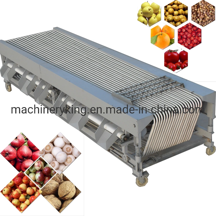 Low Noise Fruit Sorting Sifting Grading Machine