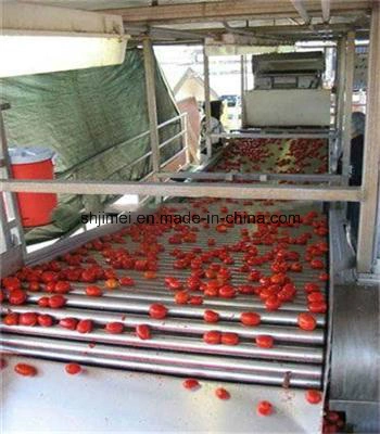 Tomato Ketchup	Tomato Processing Plant Tomato Paste Processing Plant