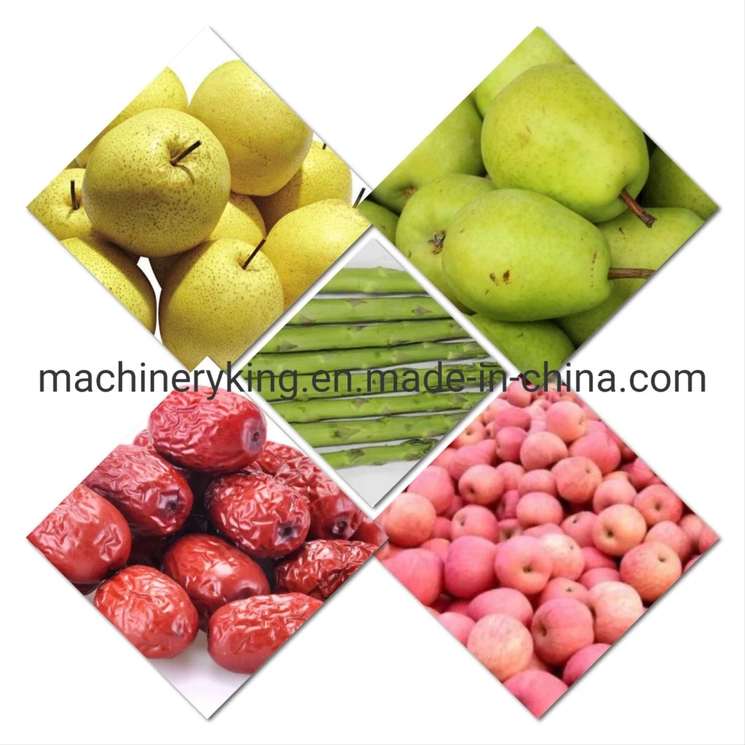 Onion Washer and Grader Machine|Fruit Grading Machine|Vegetable Sorting Machine