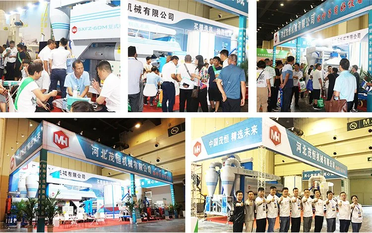 High Quality Grain Paddy Wheat Corn Gravity Destoner Gravity De-Stoner