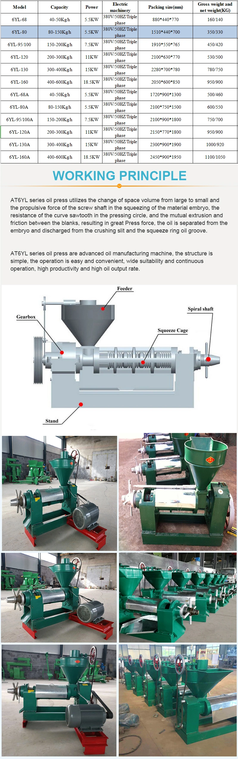 Automatic Edible Black Hemp Seed Oil Press Machine Ethiopia Oil Seed Making Equipment