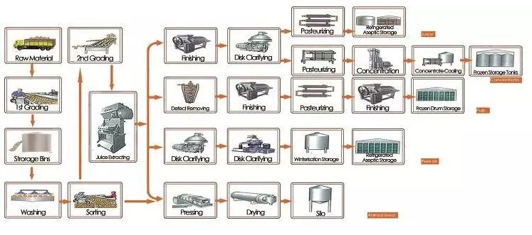 Citrus Juice Processing Line Orange Juice Processing Plant