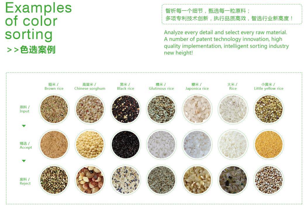 5 Chutes 320 Channels Grain Rice Color Separator Machine