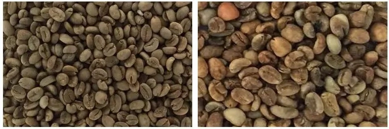 Industrial Bean Color Sorter Coffee Bean Color Sorter Machine Wholesale Cocoa Bean Color Sorter