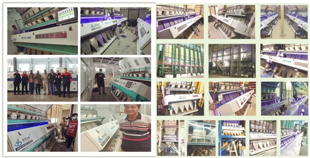 Mung Bean Color Sorting/Mung Bean Processing/Mung Bean Selecting Machine