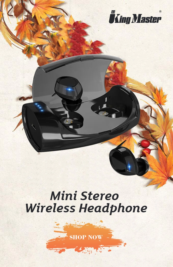Bluetooth Earphone Mini Stereo Headset in Ear Earbuds Microphone Wireless Headphone (for ios iPhone Android Samsung)