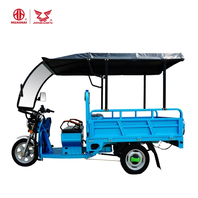 Large Load Capacity Customrized Color Electric Tricycle with Wind Shield