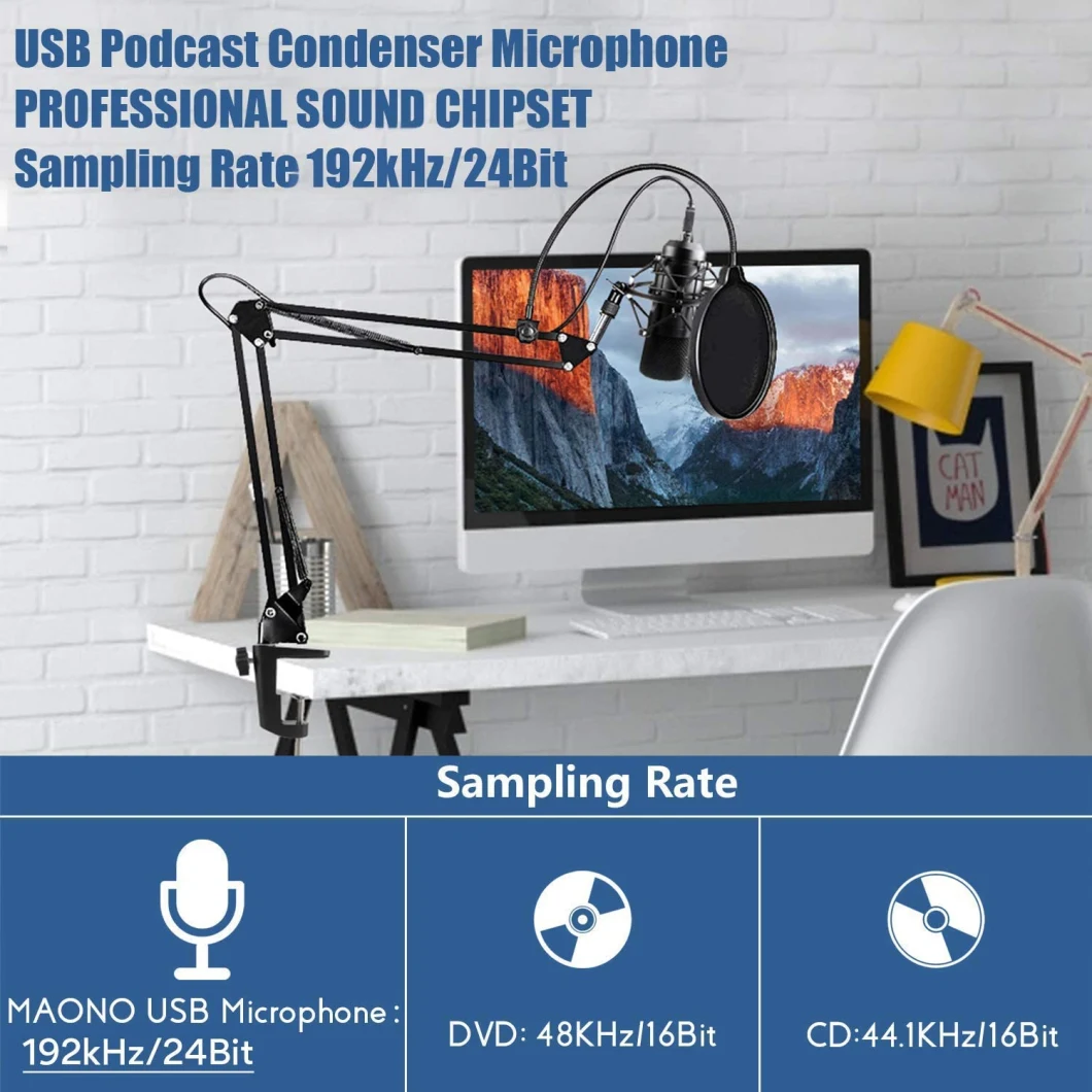 Desktop Condenser USB Microphone Gaming Youtube Recording Studio Microphone