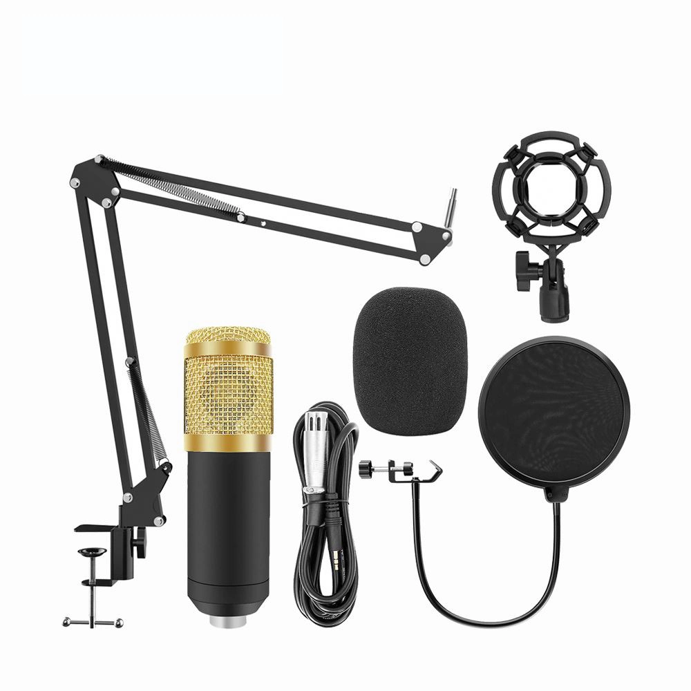 High Quality Portable Professional Studio Recording Microphone Set Condenser Microphone