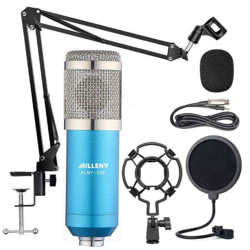 Bm800 Condenser Microphone Professional Audio Studio Recording Microphone Metal Tripod