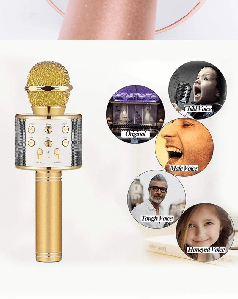 Ws-858 Professional Handheld USB Phone K Song Condenser Wireless Microphone Karaoke Microphone Live Singing Recording Studio Equipment Microphone
