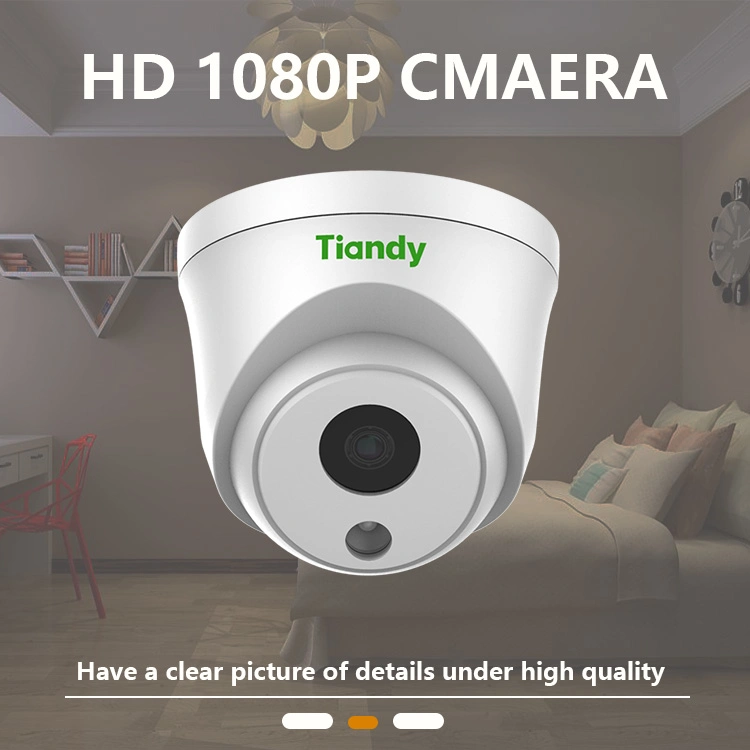 Home Security Mic Built in Camera Waterproof Infrared IP Camera Indoor 2MP Poe Dome CCTV Camera