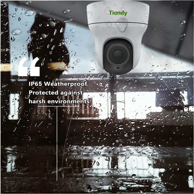 Tiandy 04X 2MP Mini PTZ CCTV Camera with Built in Mic IP Camera and Face Detection Security Camera