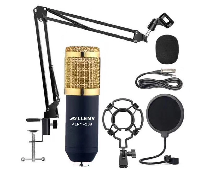 Bm800 Condenser Microphone Professional Audio Studio Recording Microphone Metal Tripod