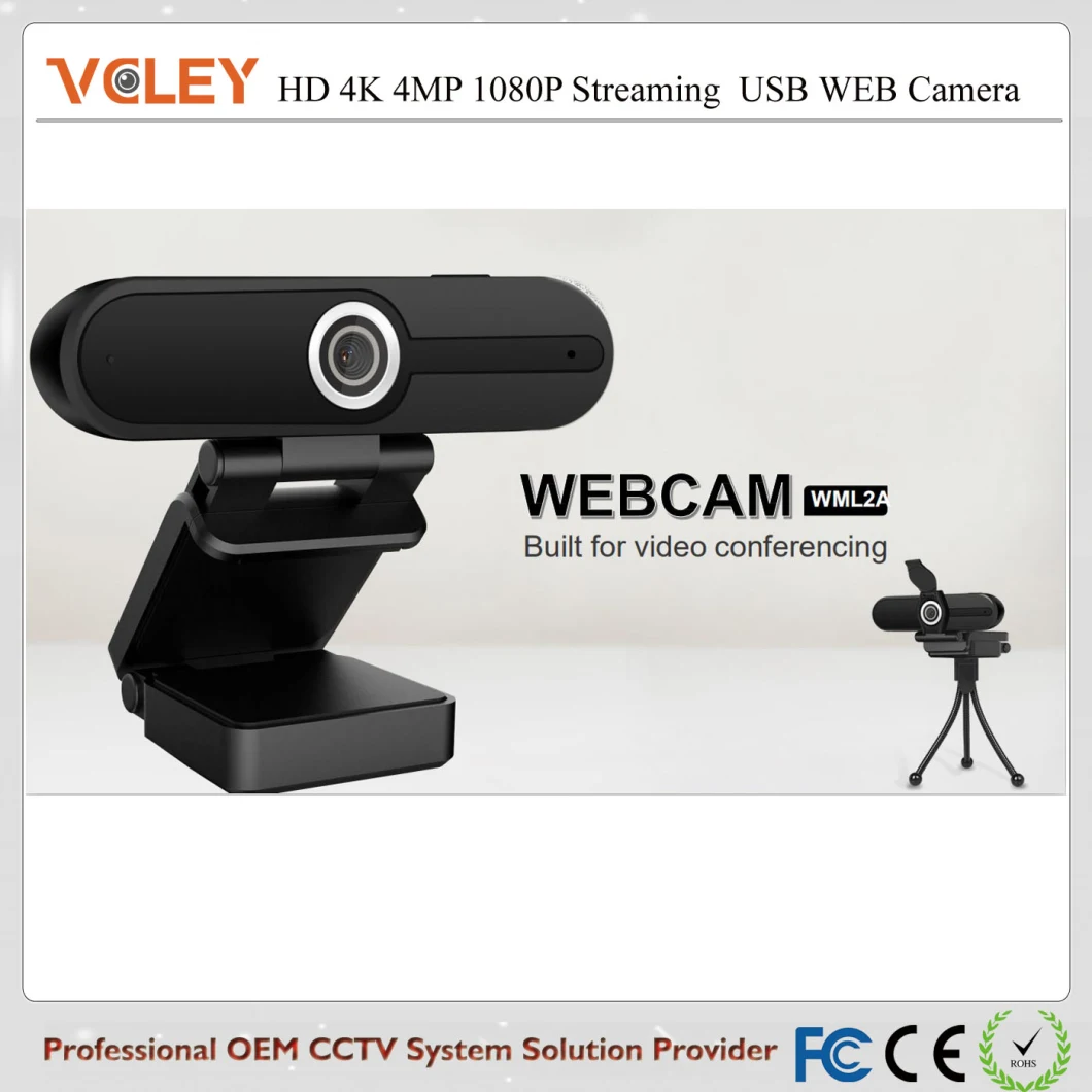 2020 Private Housing 1080P Full HD Noise Reduction Microphone Computer Webcam Video Camera